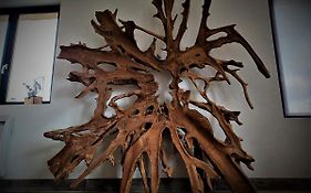 Un Brain De Nature